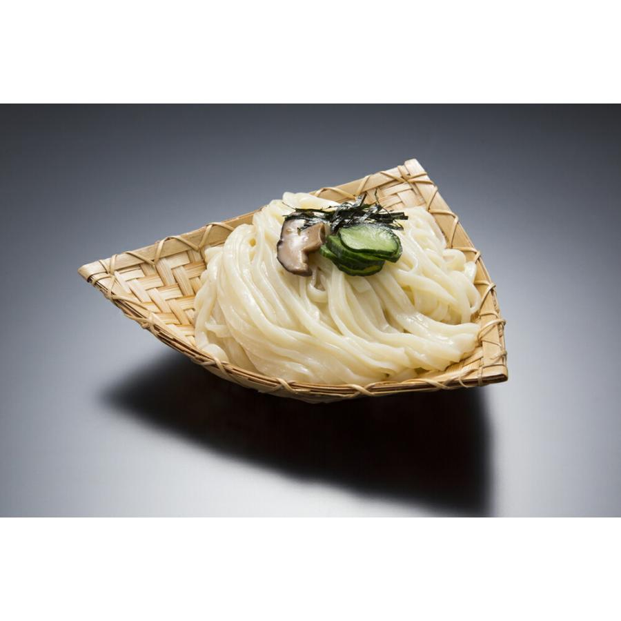 大澤屋 本生うどん 特製つゆ 4人前 北海道/四国/九州・沖縄送料別 水沢