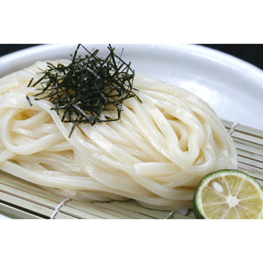 大澤屋 本生うどん 特製つゆ 4人前 北海道/四国/九州・沖縄送料別 水沢