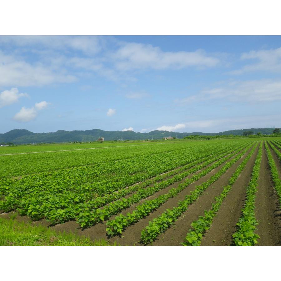 TVで紹介 JA鶴岡 <冷凍> 山形鶴岡産 殿様のだだちゃ豆 200g 10パック 送料無料 豆 だだちゃ豆 産地直送|g-call|04
