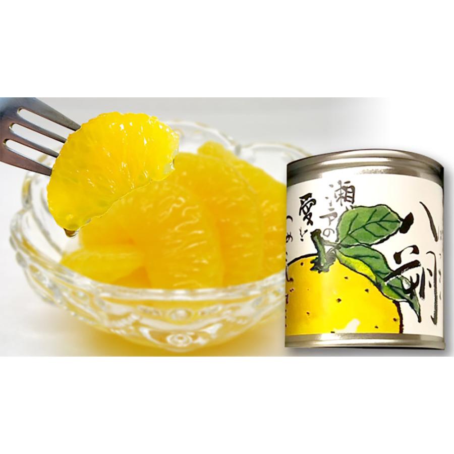 いとはっさく やわらかドライ八朔60g×10袋 - 国産はっさくのドライフルーツなら南