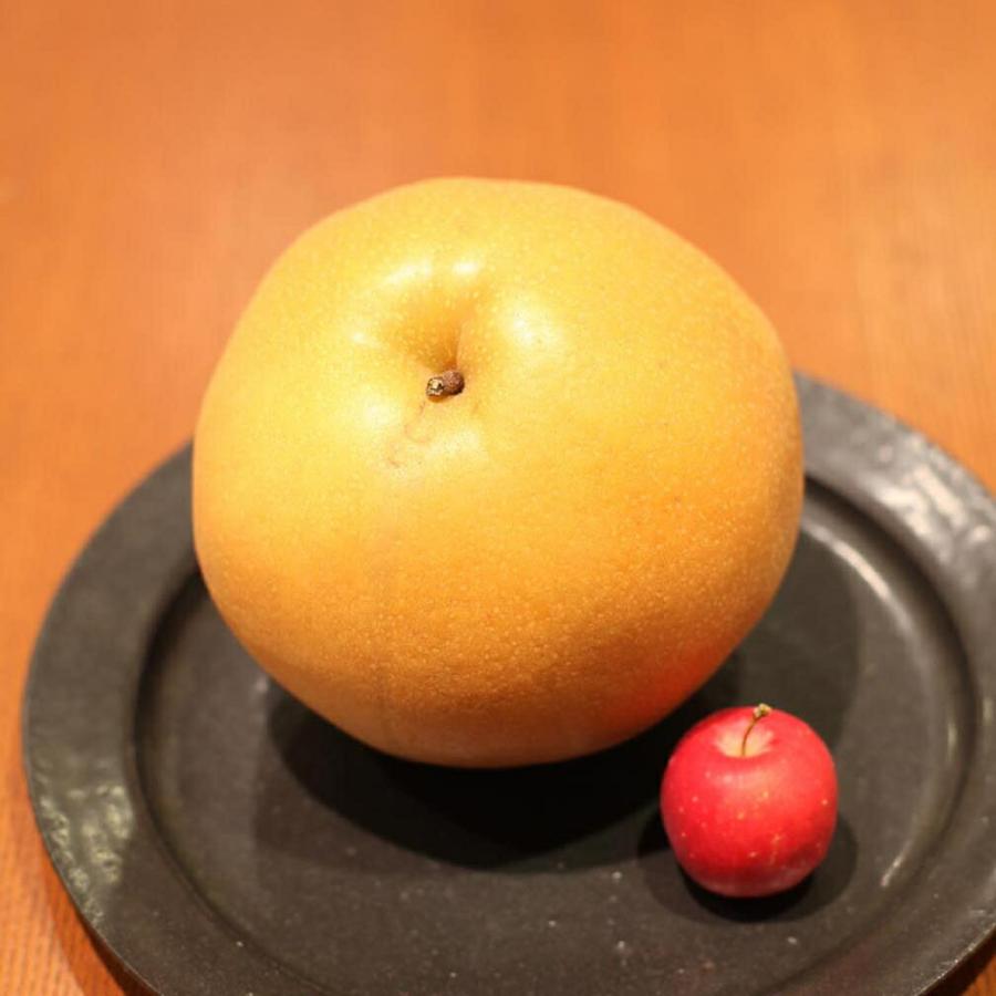 にこいち様専用 和田果樹園の果物 10kg 【公式通販】