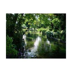 ヒルドン ナチュラルミネラルウォーター ジェントリー・スパークリング