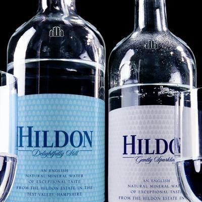 ヒルドン ナチュラル・ミネラルウォーター ジェントリー・スパークリング 発泡 500ml×24本 送料無料 HILDON WATER 炭酸水 イギリス 中硬水の画像