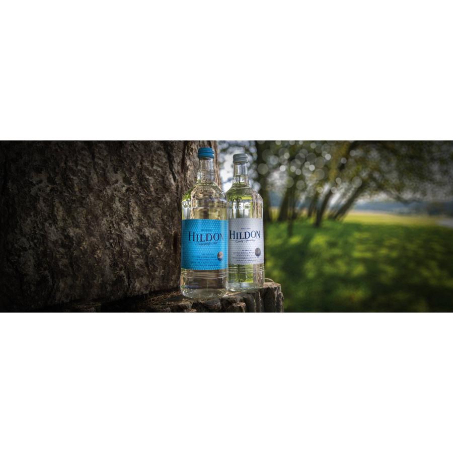 ヒルドン ナチュラル・ミネラルウォーター ジェントリー・スパークリング 発泡 500ml×24本 送料無料 HILDON WATER 炭酸水 イギリス 中硬水の画像