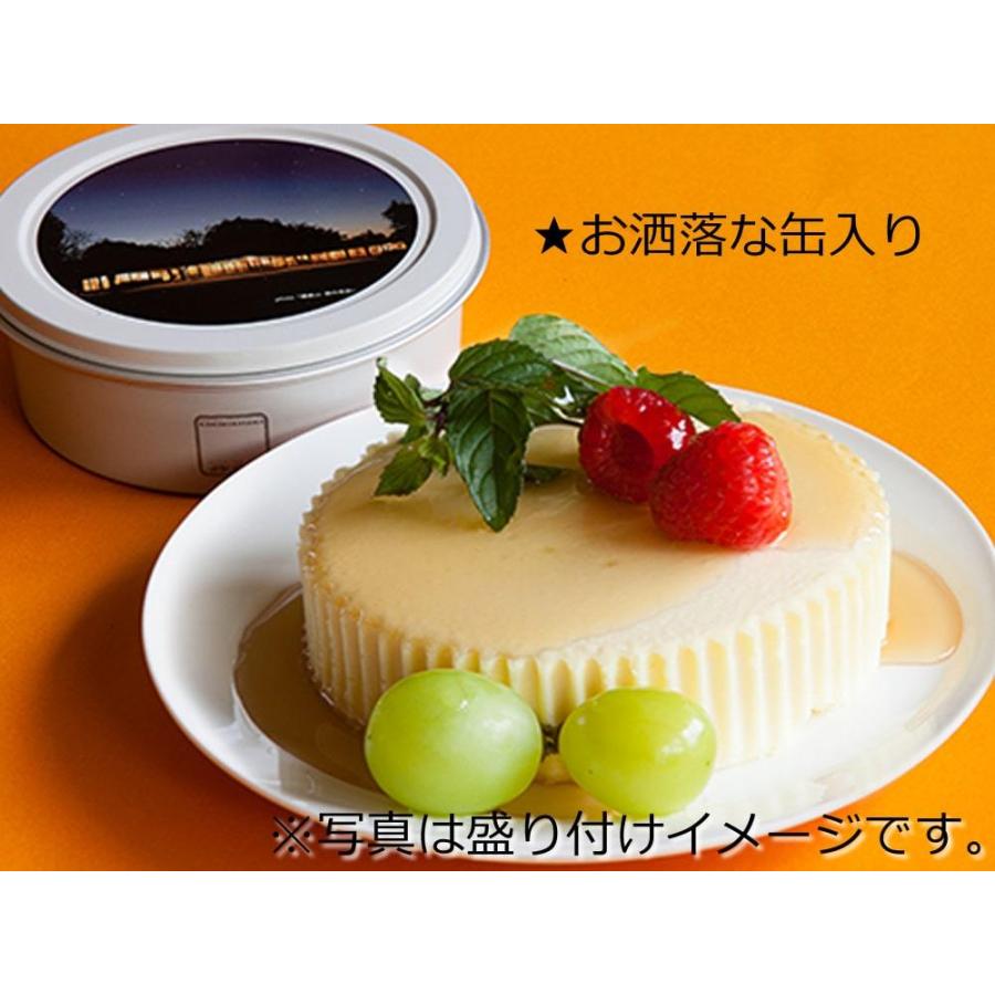 返品交換不可 鎌倉山 グルメセット ビーフシチュー 2袋 ハンバーグ 2個 チーズケーキ 1個 送料無料 国産牛 国産豚 洋風 惣菜セット ギフト 御中元 お中元 お歳暮 御歳暮 Supplystudies Com