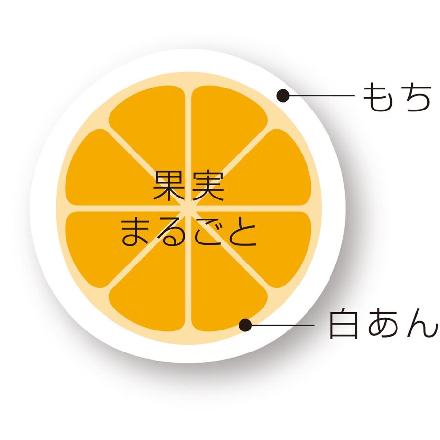 愛媛 清光堂 まるごとみかん大福 6個入り 送料無料 一福百果 まるごとフルーツ大福 お取り寄せ フルーツ大福 和菓子 贈答 ギフト プレゼント 今治 みかん大福|g-call|04