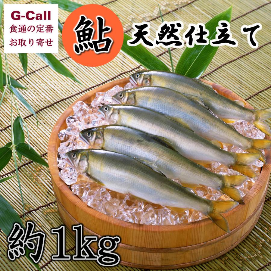 吉川水産 鮎 天然仕立て 約1kg 8 12尾 お取り寄せ 鮮魚 魚 天然 養殖 アユ 贈答 ギフト あゆ 魚介類 G Call 食通の定番 お取り寄せ 通販 Yahoo ショッピング
