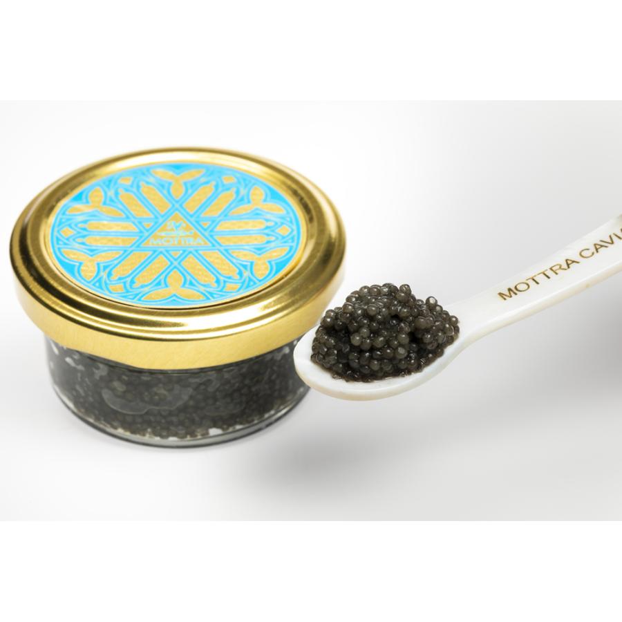 送料無料 Mottra Japan キャビア スターレット 90g 魚卵 魚介類 チョウザメ 日本三大珍味 高級品 高品質 お取り寄せ ギフト 贈答 G Call 食通の定番 お取り寄せ 通販 Yahoo ショッピング