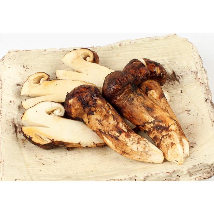 旬！松茸　1kg 箱売り ブータン松茸 1kg 約16〜24本 簡易箱 8月上旬〜9月末出荷 送料