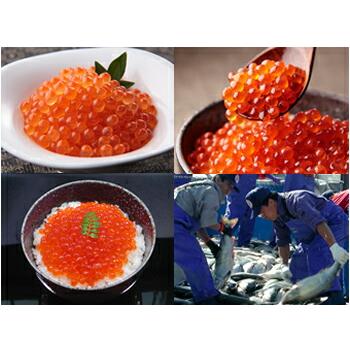 北海道 井原水産 味付いくら 化粧箱入り 250g 四国/九州・沖縄送料別 魚介類 魚卵 醤油漬け イクラ 産地直送 贈答 ギフト お取り寄せ お祝い