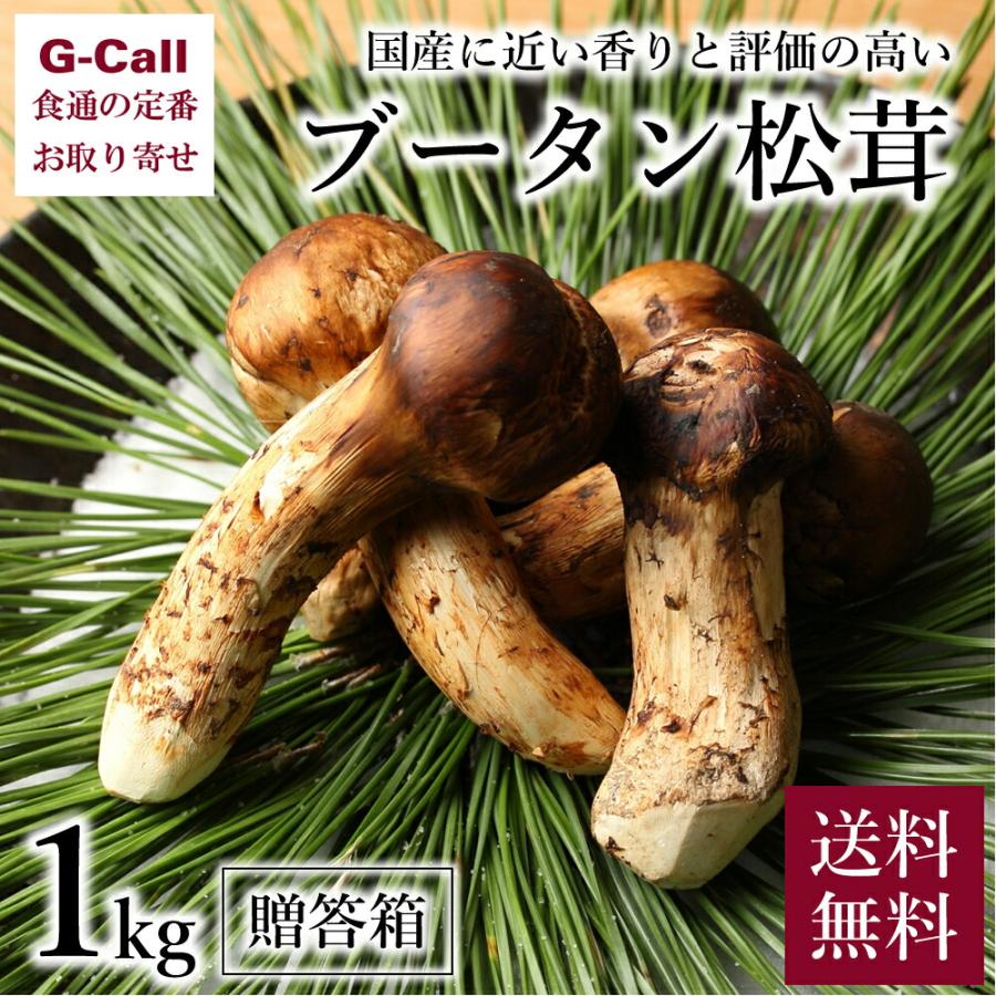 指定不可】 ブータン松茸 1kg 約16〜24本 贈答箱 送料無料 松茸  