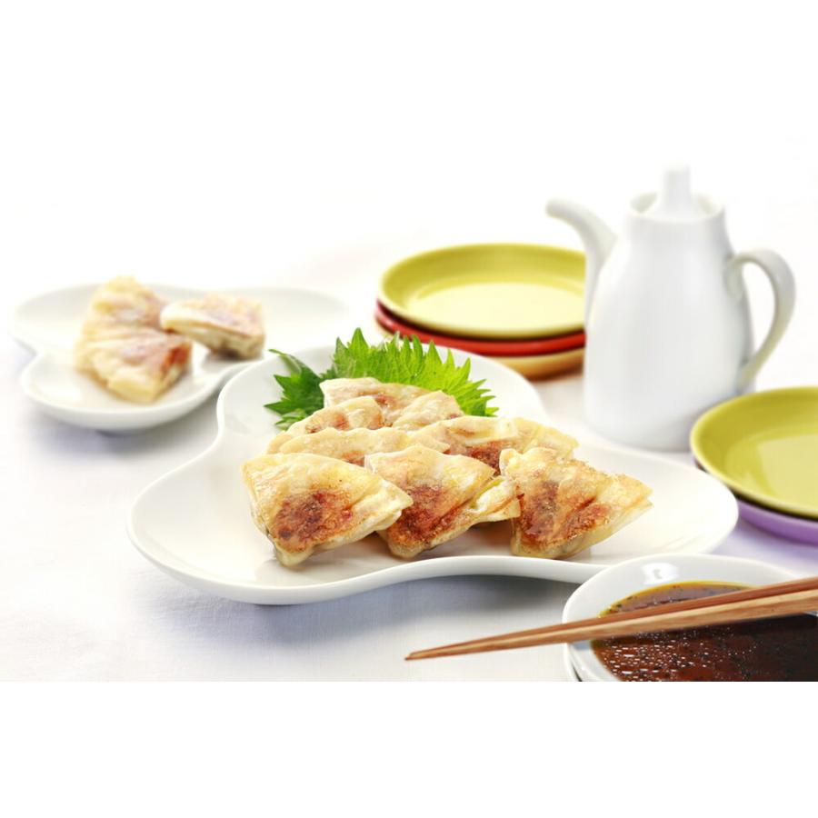 【指定日必須】大阪北新地 点天のひとくち餃子 50個&times;2箱 冷蔵 送料無料 点天  点 天 てんてん 点天の餃子 ぎょうざ  惣菜  お取り寄せ 産地直送 ひとくち餃子