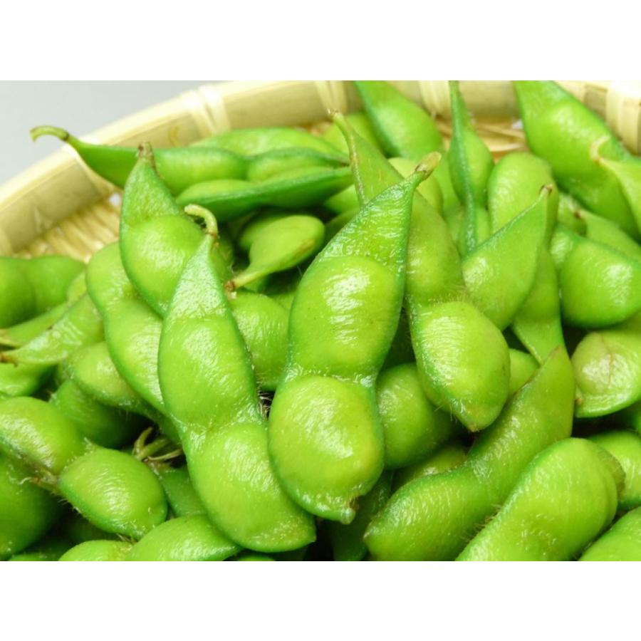 送料無料 JA鶴岡 殿様のだだちゃ豆アイスクリーム 8個セット スイーツ 洋菓子 お菓子 枝豆 ご当地商品 お取り寄せ 山形県 ギフト 贈答|g-call|05