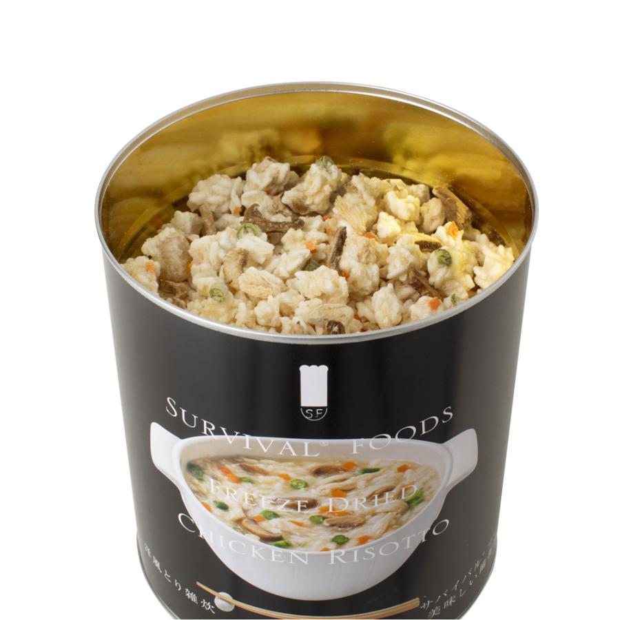 サバイバルフーズ 超 長期保存食 小缶 バラエティセット 洋風雑炊 洋風