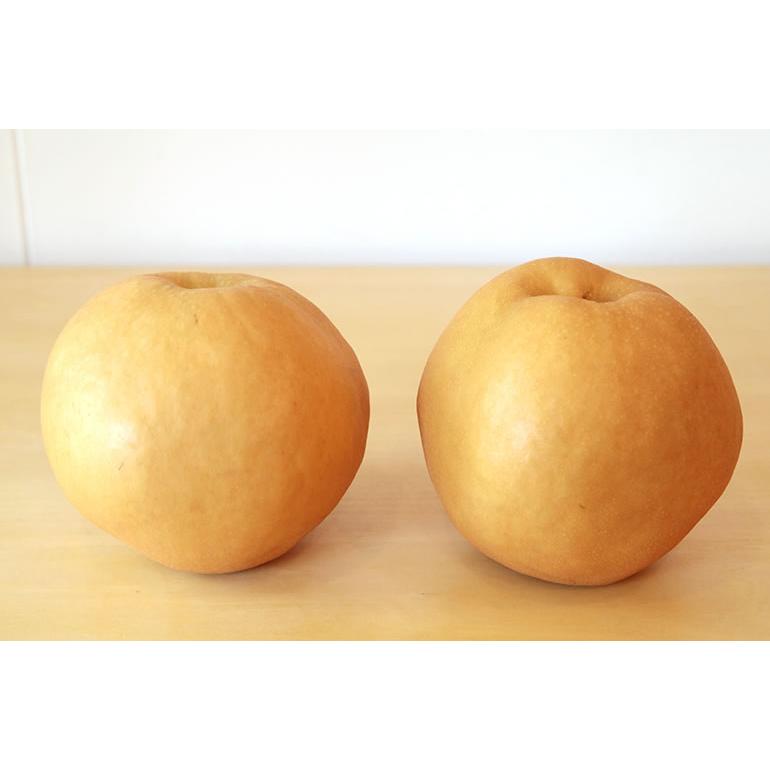 土田農園 新潟県産 新興梨 3kg 5〜7玉 11月初旬〜2月中旬頃発送 指定日不可 北海道・四国/九州・沖縄送料別 梨 くだもの 果物 フルーツ ギフト 贈答 産地直送 |  | 03
