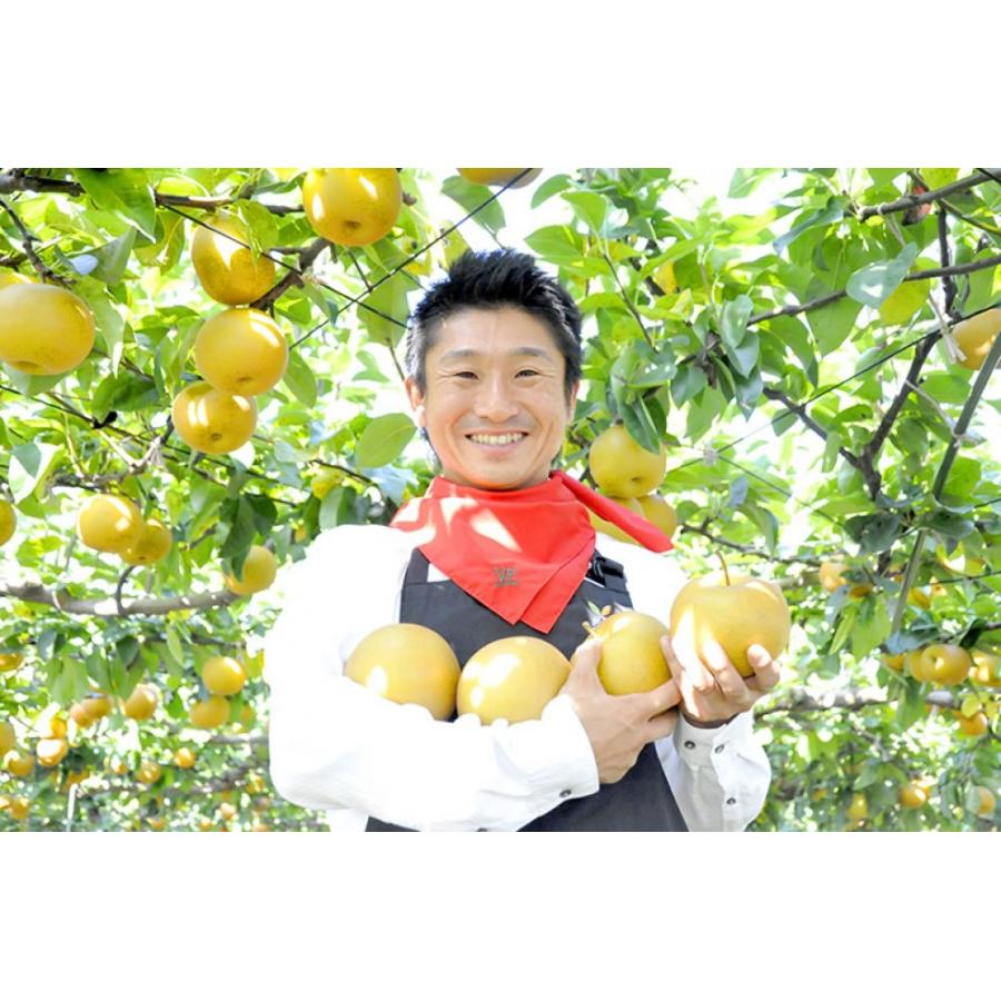 土田農園 新潟県産 新興梨 3kg 5〜7玉 11月初旬〜2月中旬頃発送 指定日不可 北海道・四国/九州・沖縄送料別 梨 くだもの 果物 フルーツ ギフト 贈答 産地直送 |  | 05