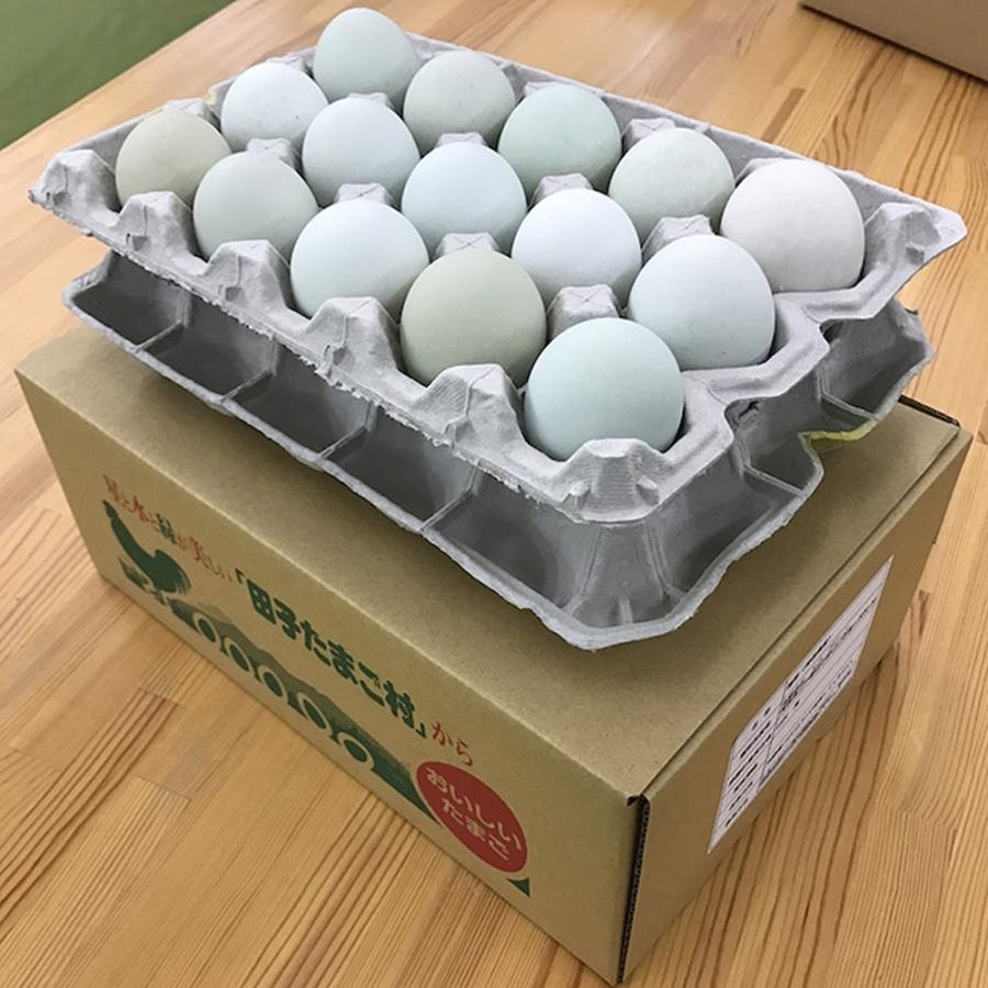 田子たまご村 緑の一番星 30個 送料無料 卵 タマゴ 玉子 鶏卵 卵かけご飯 ギフト プレゼント|g-call|04