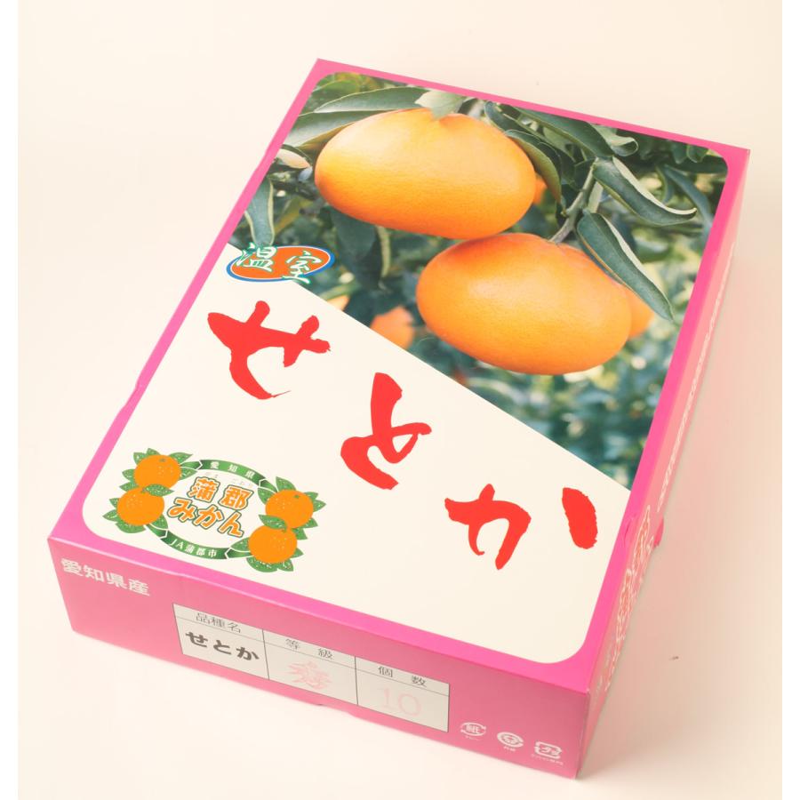 秀品 愛知県蒲郡産 ハウス栽培 みかん せとか 約3kg 12玉入 1月 秀品 愛知県蒲郡産 ハウス栽培 みかん せとか 約3kg 12玉入 1月