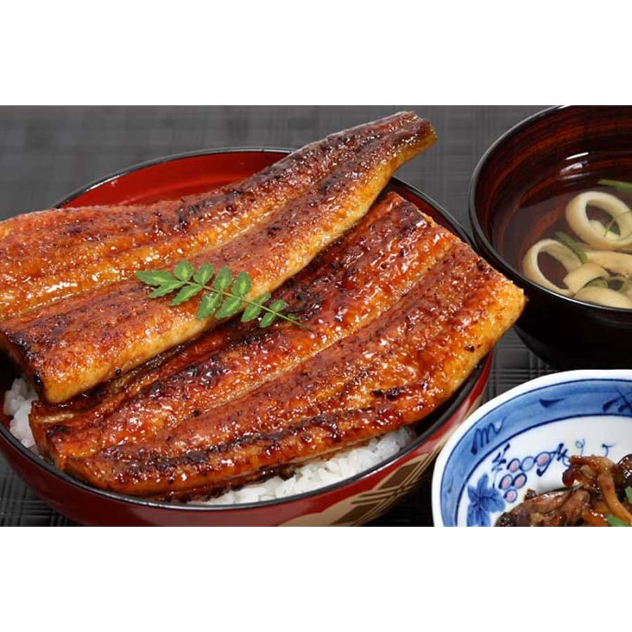 うなぎ 国産 うなぎ屋かわすい 蒲焼 大サイズ 150g 5本 送料無料 和歌山 御中元 うなぎの蒲焼 御中元_4