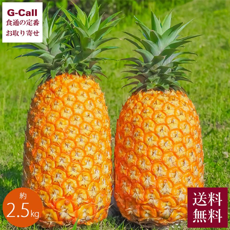 送料無料 沖縄アララガマ農園 ゴールドバレル 2 5kg 2 3玉 パイナップル パイン 高糖度 濃厚 旬 お取り寄せ 果物 フルーツ 贈答 ギフト お中元 お祝い 期間限定 G Call 食通の定番 お取り寄せ 通販 Yahoo ショッピング