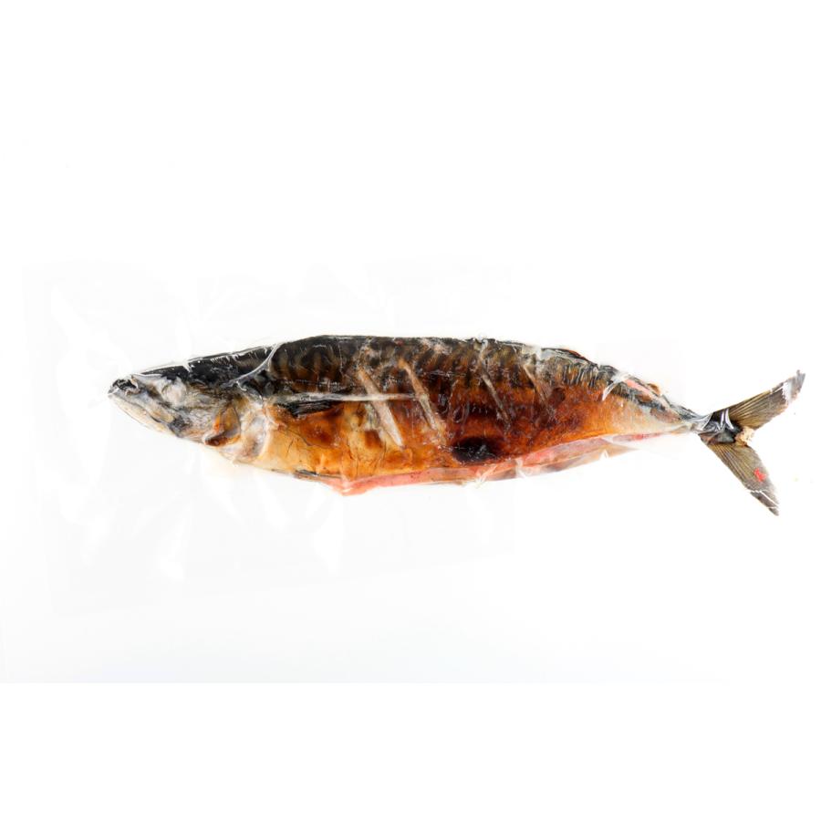 福井県産 ごうじょう鯖 4尾 福丸ごーじょーもん 真サバ 辛子明太子 魚 魚介 惣菜 お取り寄せ 越前 サバ さば 鯖_4