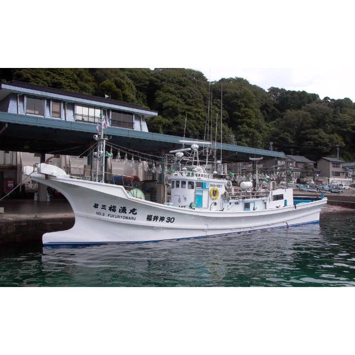 福井県産 ごうじょう鯖 4尾 福丸ごーじょーもん 真サバ 辛子明太子 魚 魚介 惣菜 お取り寄せ 越前 サバ さば 鯖_5