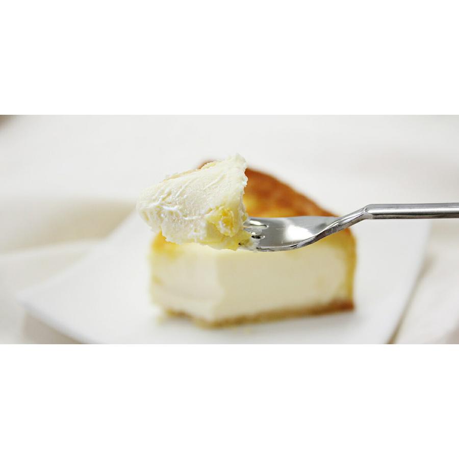 トロイカ 冷凍 ベークドチーズケーキ 7号 21センチ 九州・沖縄送料別