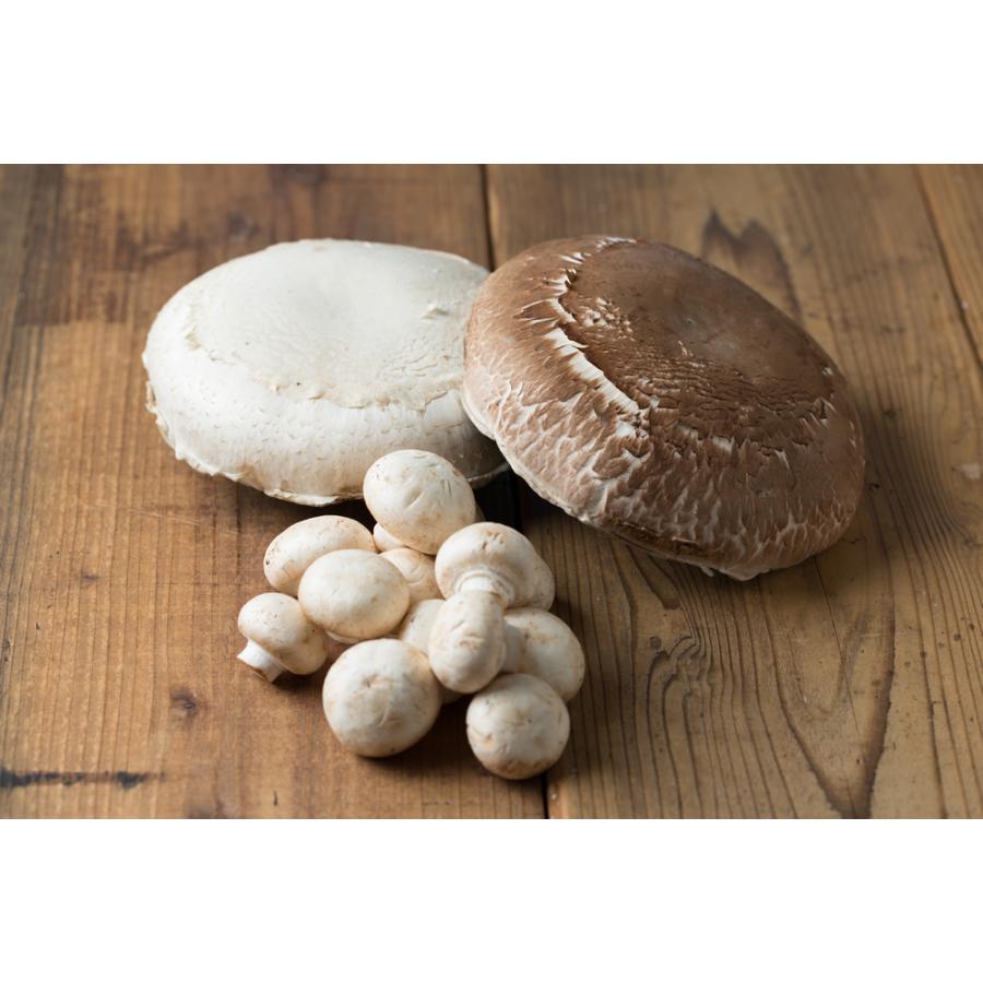 コンツェルトハウス プレミアムポタージュスープ マッシュルームポタージュ 150g 1箱 簡単調理 国産野菜 きのこ 厳選 食品添加物不使用 砂糖不使用 G Call 食通の定番 お取り寄せ 通販 Yahoo ショッピング