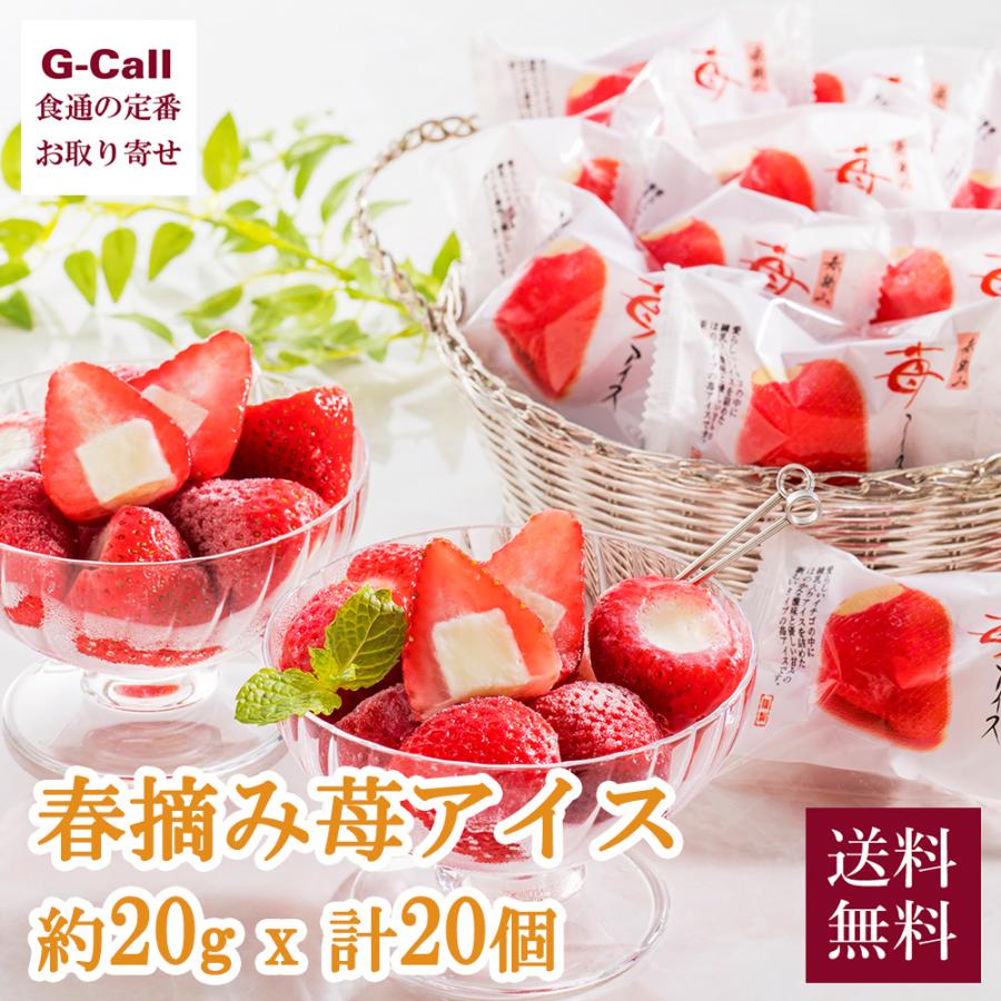 春摘み苺アイス 約g 18個 送料無料 スイーツ いちご イチゴ 冷凍 冷菓 お菓子 おやつ デザート 個包装 フルーツ 練乳 ひとくち ギフト G Call 食通の定番 お取り寄せ 通販 Yahoo ショッピング