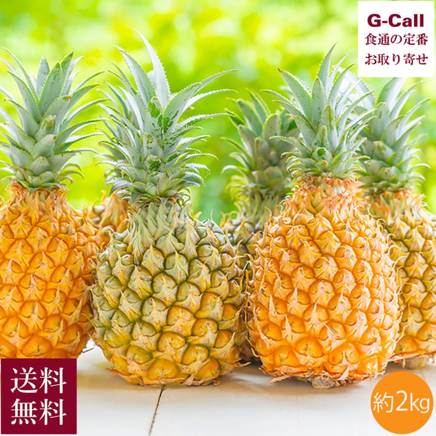 スナックパイン ボゴール 約3kg 3 4個入 アララガマ農園 沖縄西表島 国産パイナップル 減農薬栽培 G Call 食通の定番 お取り寄せ 通販 Yahoo ショッピング