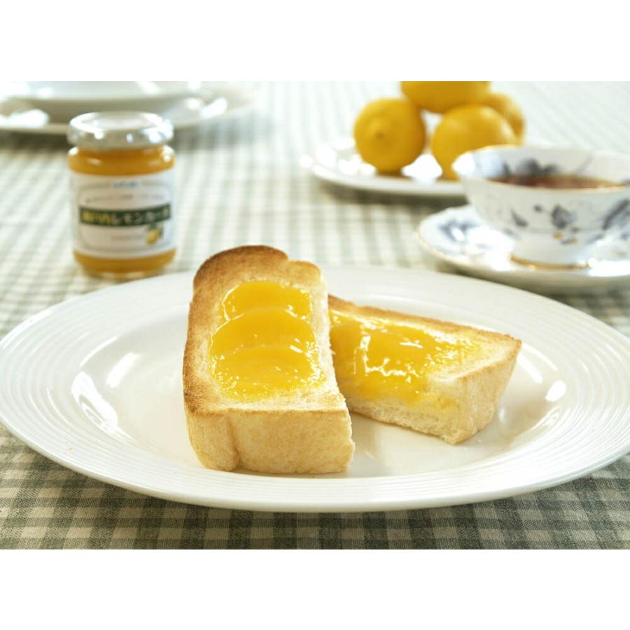 レインボー食品 瀬戸内レモンカード 165g 北海道・沖縄送料別 ジャム