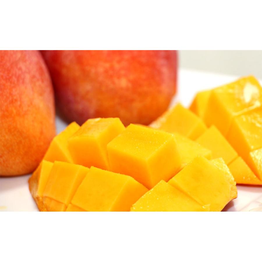 公式ストア 樹上完熟 メキシコ産ヴィーナスマンゴー 秀品 2玉 化粧箱入り 送料無料 果物 フルーツ 旬 外国産 熟成 絶品 お得 お取り寄せ ギフト 贈答 濃厚 高糖度 Gaviao Ba Gov Br