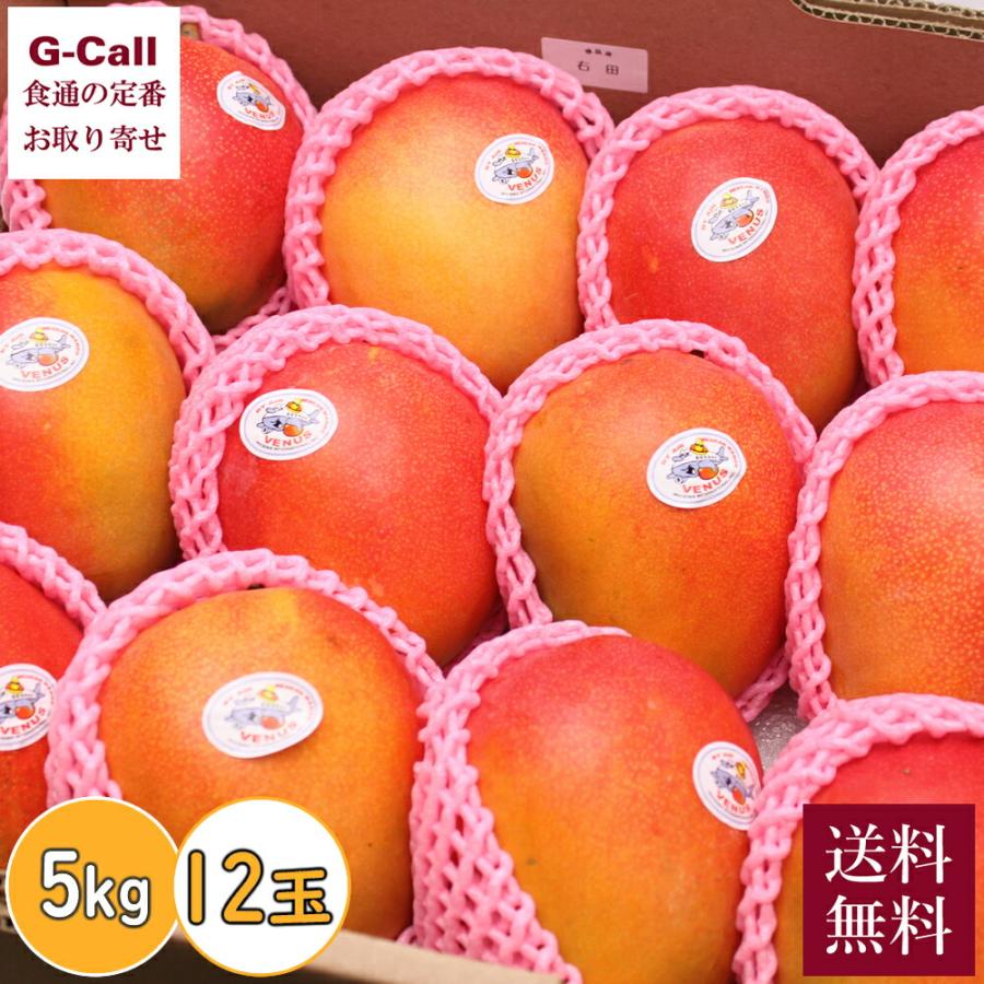 大人も着やすいシンプルファッション 絶品 果物 樹上完熟 濃厚 熟成 お得 12玉 秀品 お徳用 贈答 ギフト メキシコ産ヴィーナスマンゴー 高糖度 お取り寄せ 外国産 旬 約5kg フルーツ マンゴー