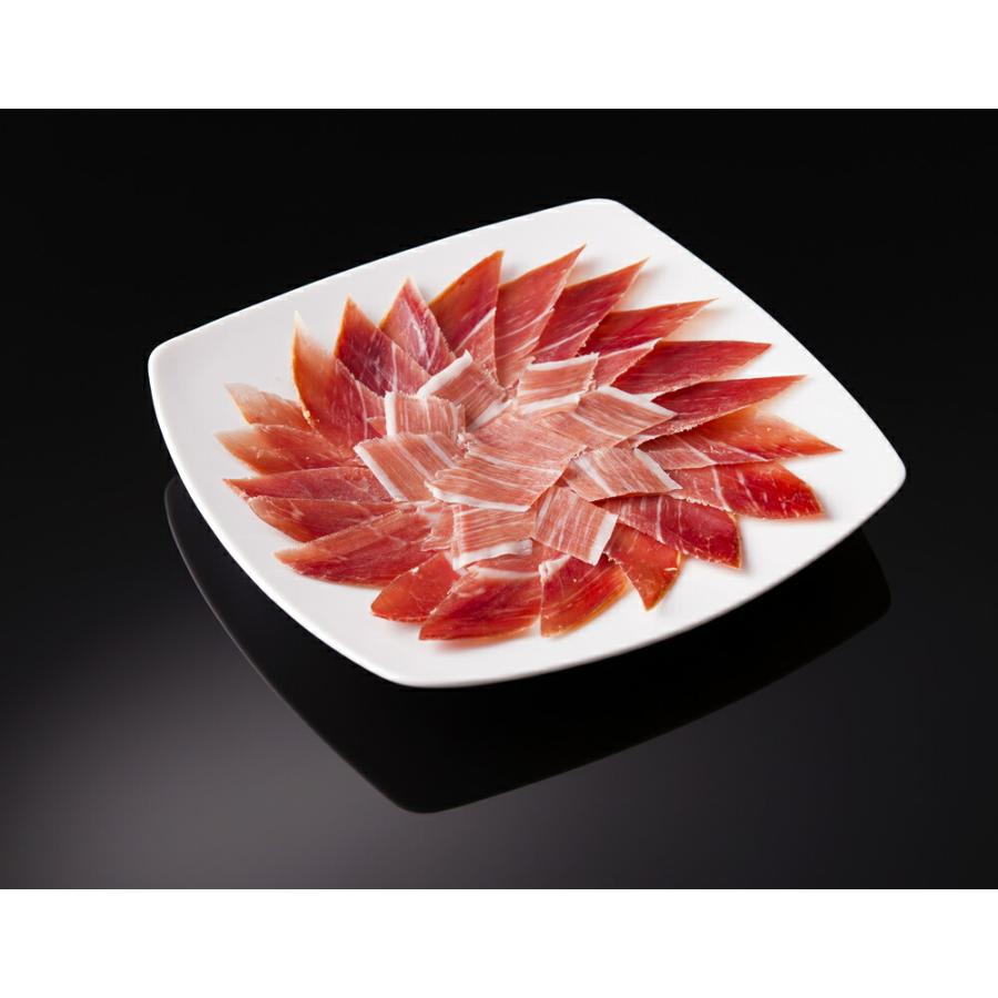 ハモンセラーノ ミニ原木 800g 専用固定式ホルダー ナイフセット 送料無料 スペイン生ハム 豚 ギフト プレゼント 贈答 ミニセラーノ