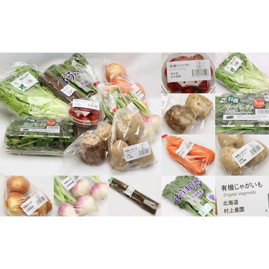 オーガニック野菜のセット S 5〜6品目 送料無料 健康 旬 詰合せ 冷蔵