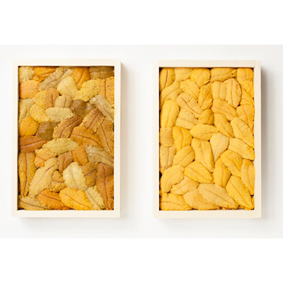 函館 うに むらかみ 生うに木箱 B級品 80g 村上商店 四国/九州・沖縄