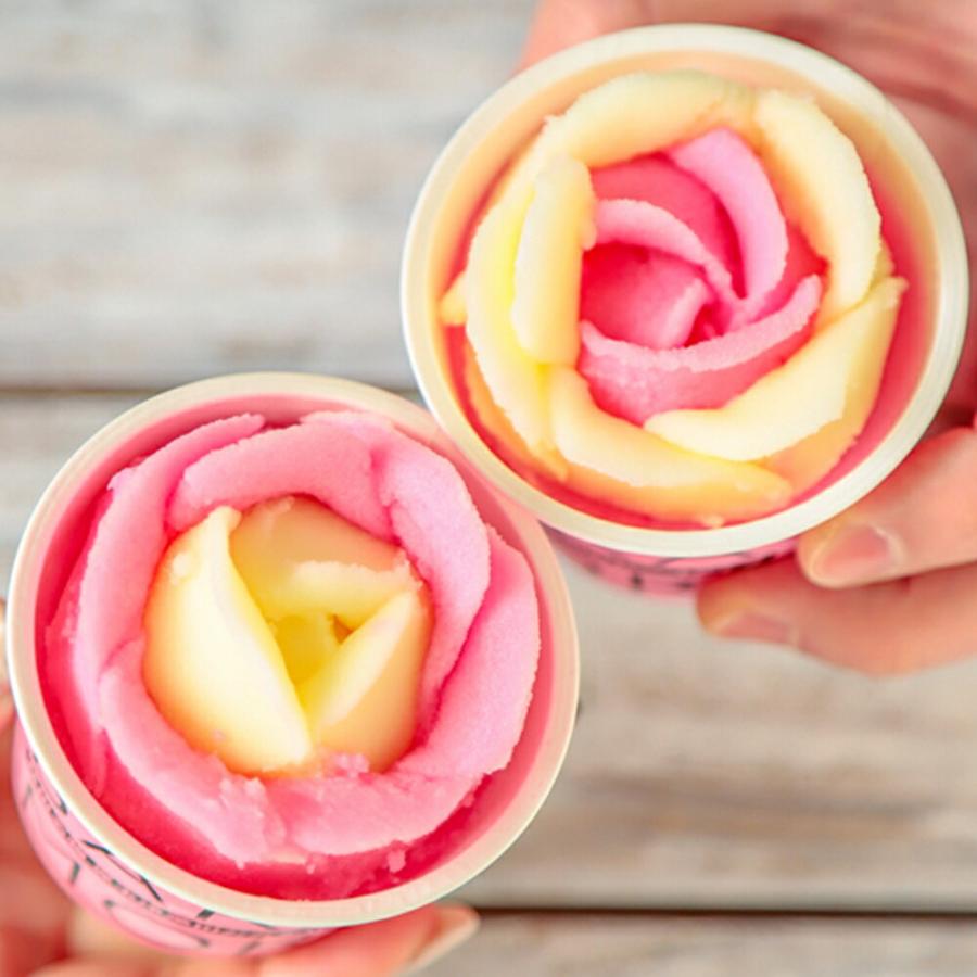 児玉冷菓のババヘラアイス バラ盛りカップ 8個 四国/九州・沖縄送料別