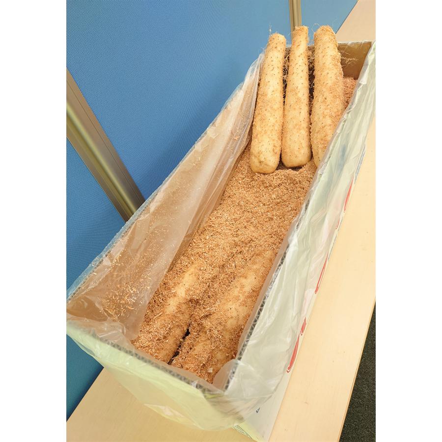 JAゆうき青森 ネバリキング 秋堀り物 15本 約10kg 四国/九州・沖縄送料