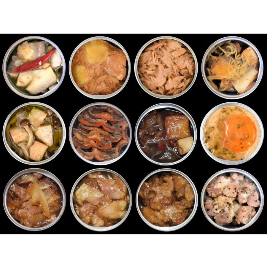 黒潮町缶詰製作所 高知のうまいを詰め込んだグルメ缶詰 12缶セット 化粧箱 送料無料 惣菜 鰻 鰹 鮎 豚 鶏 牛 マグロ 防災 保存食 簡単調理 缶詰め ギフト 贈答