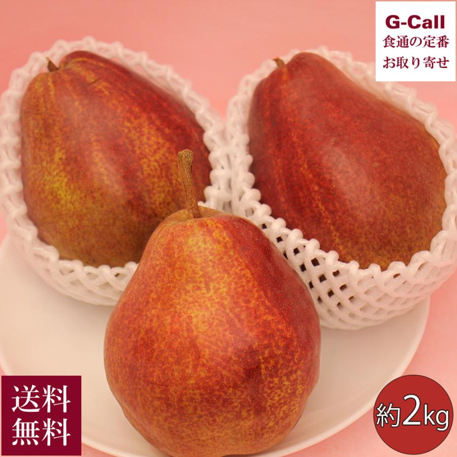 福島産 リーガル・レッド・コミス 約2kg 10月中旬〜11月上旬まで出荷