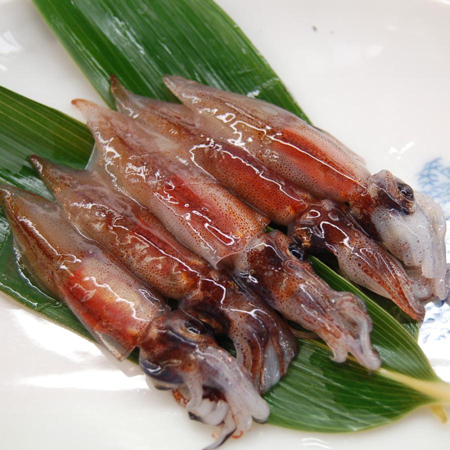 山米鮮魚 山陰の旬凍結 生ホタルイカ 250g 5袋 北海道・沖縄送料別