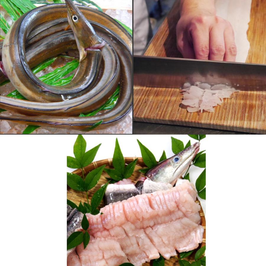 小松島漁業協同組合 鱧の切り身 500g×3 北海道/東北・沖縄送料別 はも ハモ 魚介 魚 切り身 お吸い物 湯引き 冷凍 徳島県 生産者直送 ギフト 贈り物 お取り寄せ_3