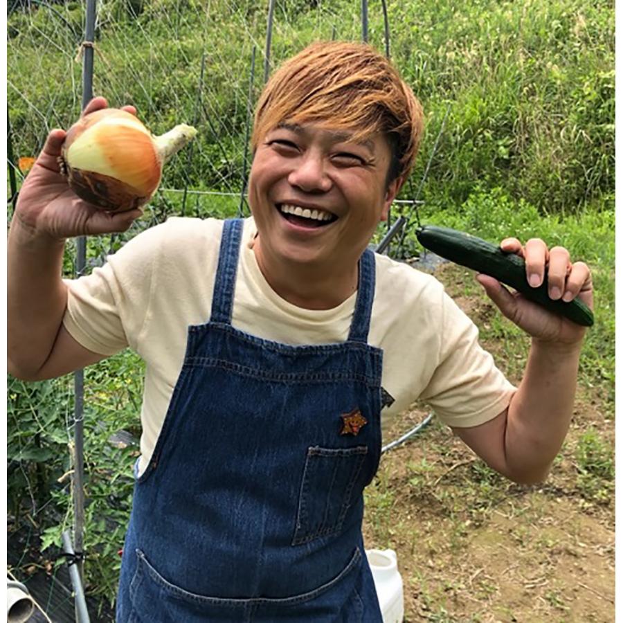 ポン太青果 りんごジュース 1L×6本 指定日不可 送料無料 果汁100