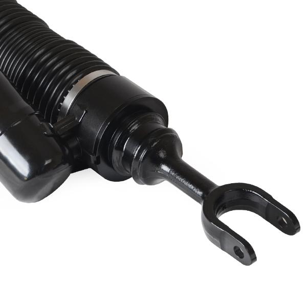 エアサスta vervanger-20724004.jpg