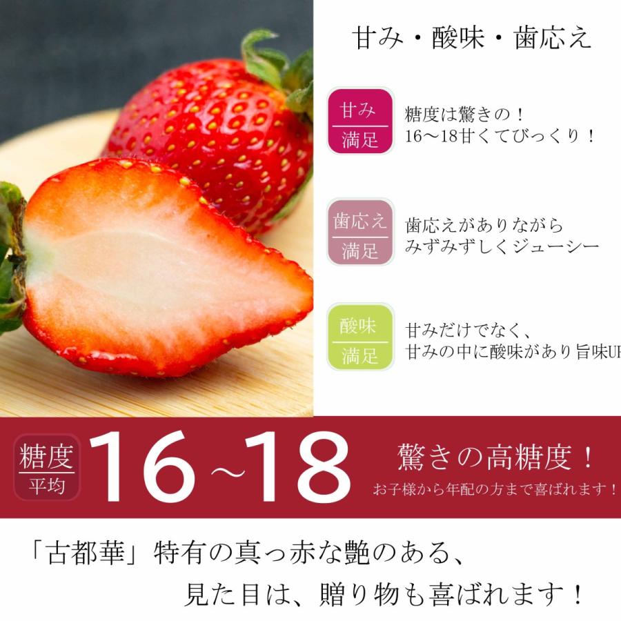 いちご 古都華 【2Lサイズ 】奈良県産 苺 1粒サイズ2L(22g〜27g)  1箱 2パック入り 美味しい 甘い｜g-farm｜04