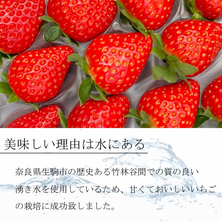 いちご 古都華 【Mサイズ 】奈良県産 苺 1粒サイズM(11ｇ〜14ｇ) 相当 1箱 2パック入り 美味しい 甘い コロナ 差し入れ おすすめ｜g-farm｜03