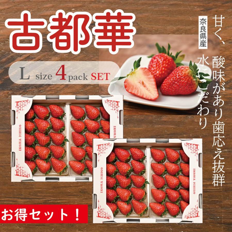 いちご 古都華 奈良県産 苺 1粒：(15g〜21g) 相当 2箱 4パック入り 
