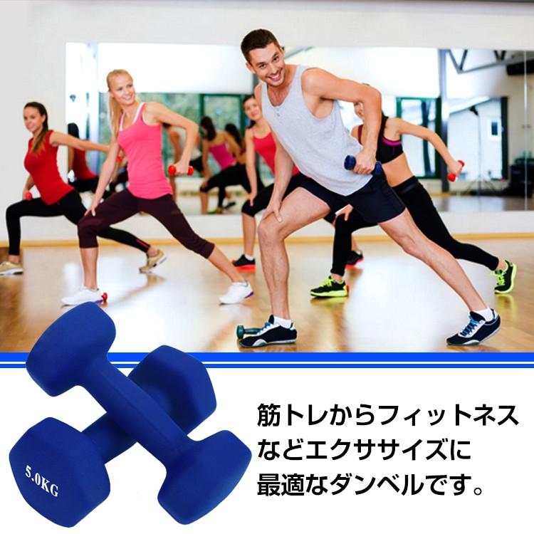 カラーダンベル フィットネス ダンベルトレーニング エクササイズ 5kg