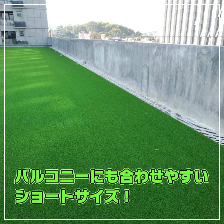 送料込 人工芝1m 5ｍ水はけ 排水穴 ベランダ ガーデニング Diy 肌に優しい メンテナンスフリー ロールタイプ 春色 芝生 人工芝 しば シバフ ガ Web限定 Diquinsa Com Mx