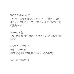 PDG フラットキャップ グレー/ブラック ポジドライブ : グッド